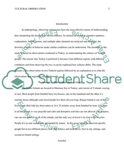 Cultural Observation