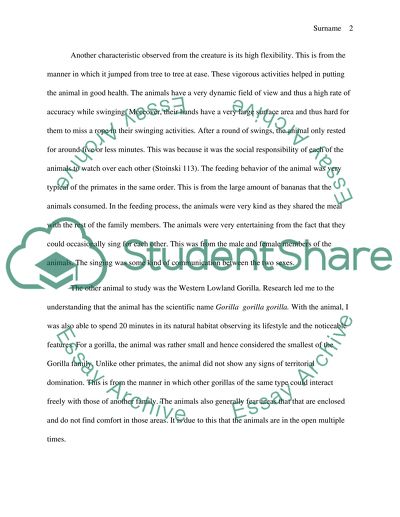 Anthropology - Primates Observations