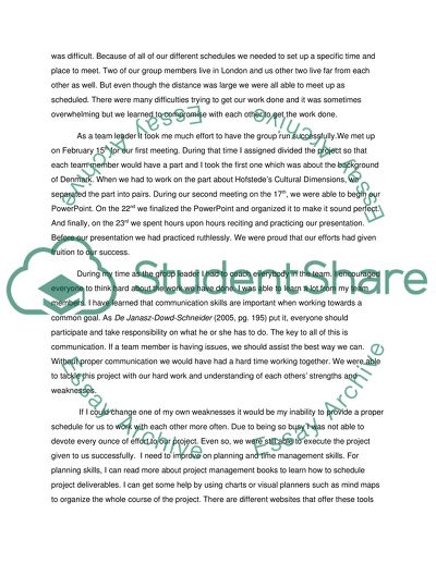 Individual reflection about a presentation(denmark