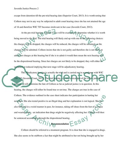Juvenile Justice Process and Corrections Paper