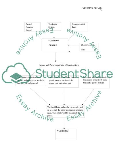 Vomiting Reflex