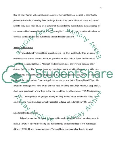 Breeding Thoroughbred Racing Horses