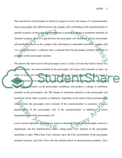 Chemical Synapses and Effects of the Neurotransmitter