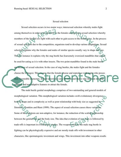 Entomology. insect. Sexual Selection