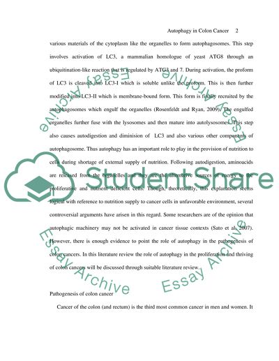 Autophagy in Colon Cancer