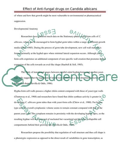 Effect of antifungal drugs on Cadida Albicans