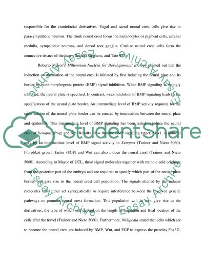 Development of the neural crest and its derivatives (LD)