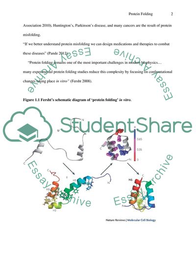 Mechanisms of Protein Folding In Vitro