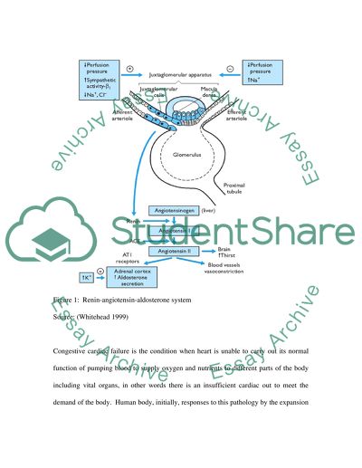ACE Inhibitors in Congestive Cardiac Failure