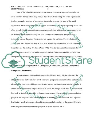Social Organization of Orangutans, Gorillas, and Common Chimpanzees