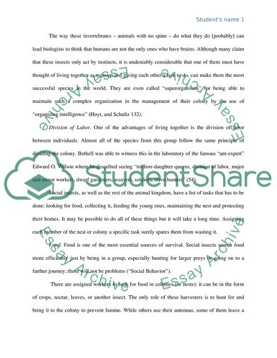 The Important Role of Balancing the Ecosystem