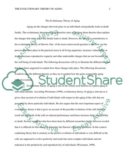 Perspective essay examples picture