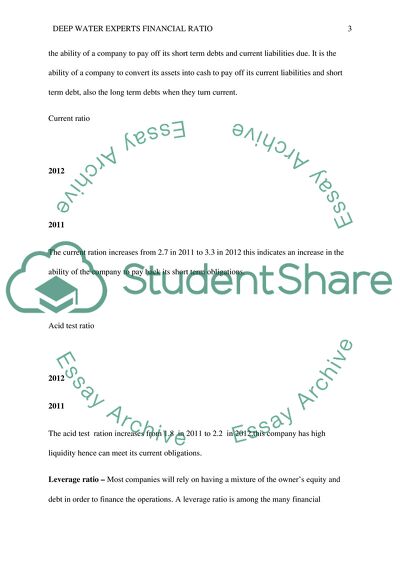 Deep Water Experts Financial Ratio