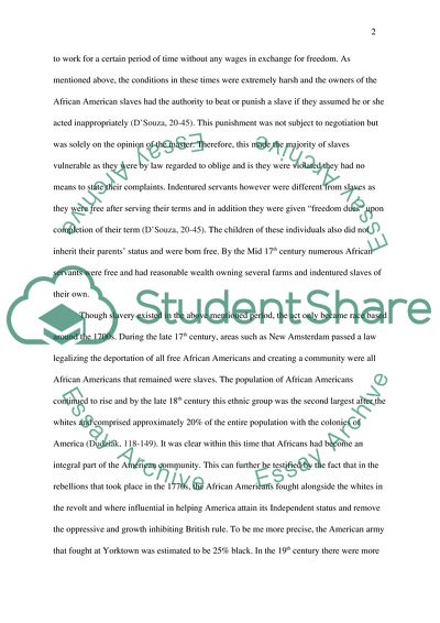 Race and the Image of American Democracy