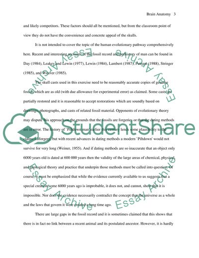 Brain Anatomy and Relations with Skull