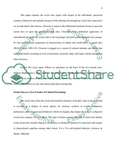 The Relationship between Class and Culture