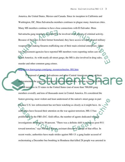 The Mara Salvatrucha Gang