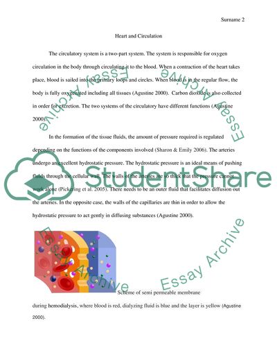 Heart and Circulation