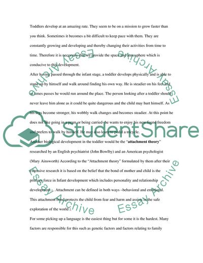 A Toddlers Life Span