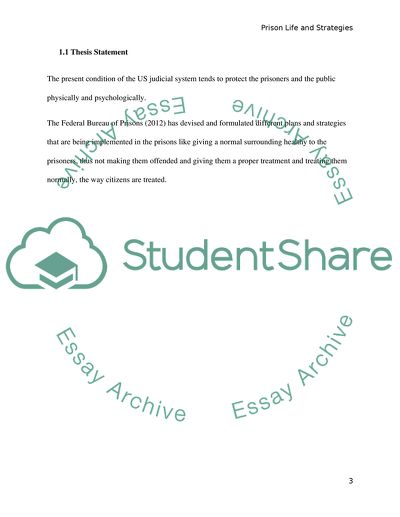 Prison Life and Strategies