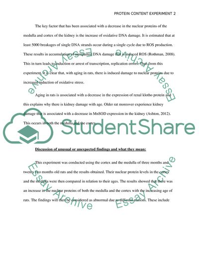 Total Nuclear Protein Levels in Old Rats