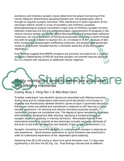 Neurexins Induce Differentiation of GABA and Glutamate Postsynvariants
