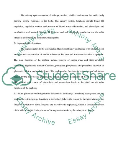 Questions to be answered (memo 11)