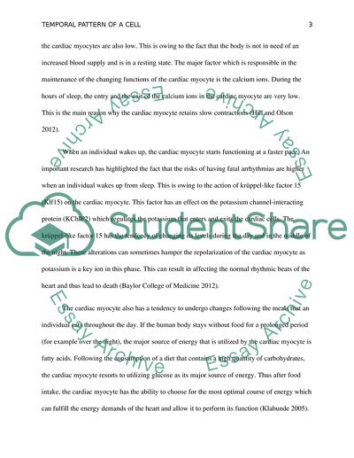 Temporal pattern of a cell