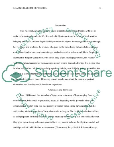 Developmental Theories on Depression