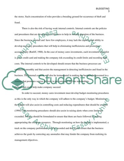 Budgeting of a Company Essay Example | Topics and Well Written Essays ...