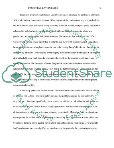 Risk and Protection Factors in Thirteen Film