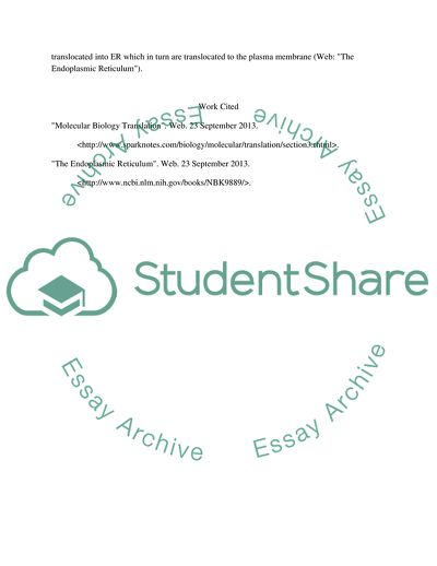 The Mechanism of Molecular Biology Translation