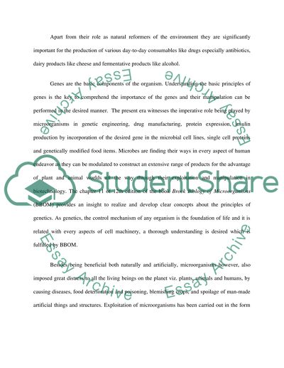 Principles of Bacterial Brock Biology of Microorganisms by Berlanga