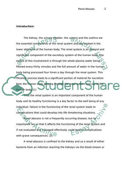 Diagnostic Evaluation of Renal Abscesses