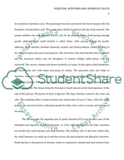 Digestion and diseases of