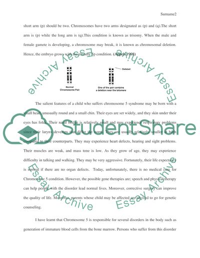 Chromosome Essay Example | Topics and Well Written Essays - 500 words