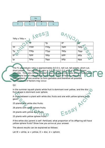 BIOLOGY GENETICS PROBLEMS AND ANTIBIOTICS