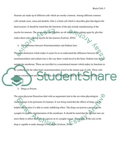 Brain Size, Consciousness and Neurology