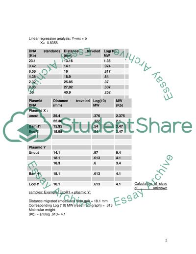 Restriction and Gel Electrophoresis of Plasmid DNA