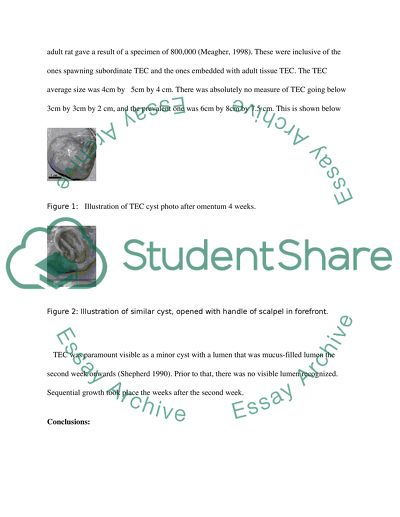 The mechanical testing of a silk fibrion (SF) scaffold seeded with MSCs in Colon Engineering
