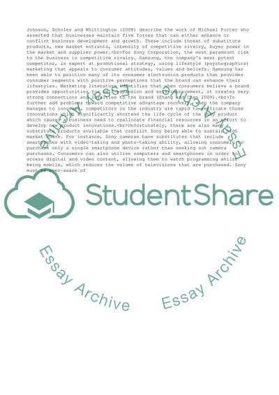 Advice to the Chief Executive Officer of the Sony Corporation