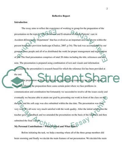 The Experience of Working in Group for the Preparation of the Presentation