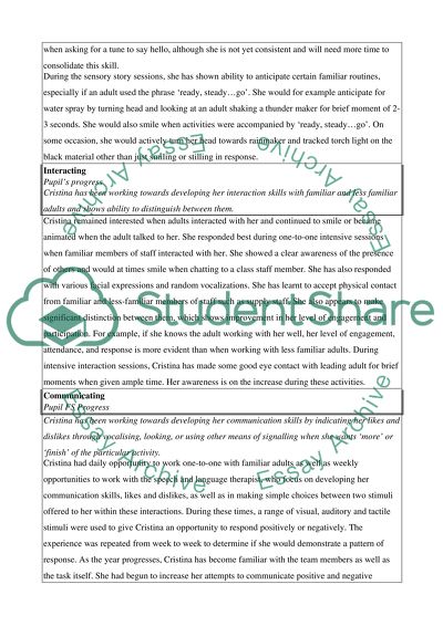 Project status report template word image