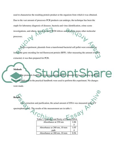 Extraction of plasmid DNA and set up of polymerase chain Reaction (PCR)