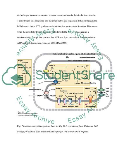 Physiological Principle for Health and Social Care