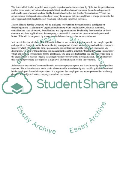 Organizational Structure of Mason Electric