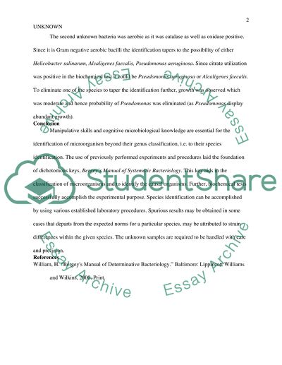Sample Unknown Lab Report Microbiology