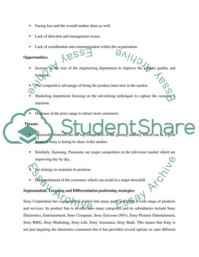 E-Marketing: Sony Corporation in USA