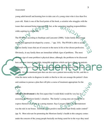 Hypothetical Family Health Promotion Assessment
