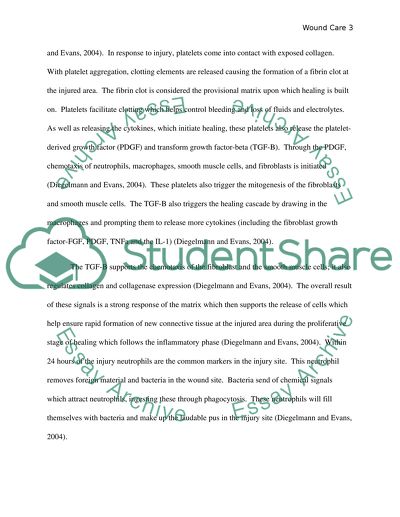 The Best Type of Care